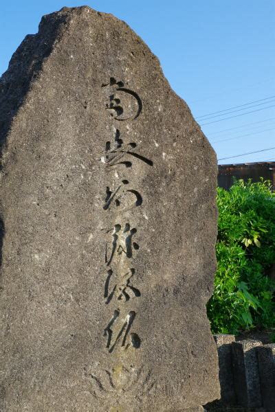 八掛梅|浄土真宗開祖親鸞聖人御旧跡めぐり